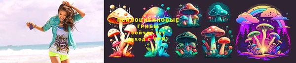 2c-b Осинники