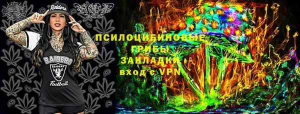 2c-b Осинники